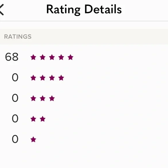 Lux Bag Charm/chain extender - Picture 12 of 12